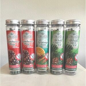 NEW Scentsicles Scented Christmas Ornaments  Lot of 5 Snowberry Pine Winter Fir